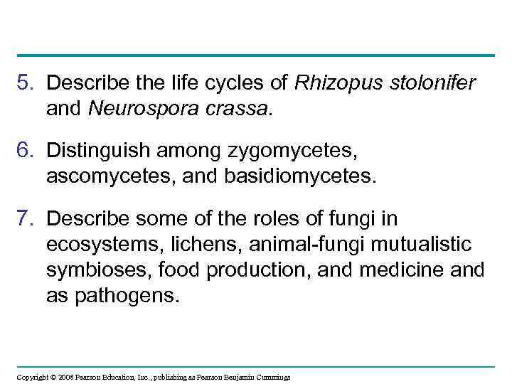 5. Describe the life cycles of Rhizopus stolonifer and Neurospora crassa. 6. Distinguish among