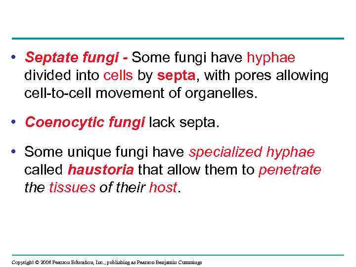  • Septate fungi - Some fungi have hyphae divided into cells by septa,