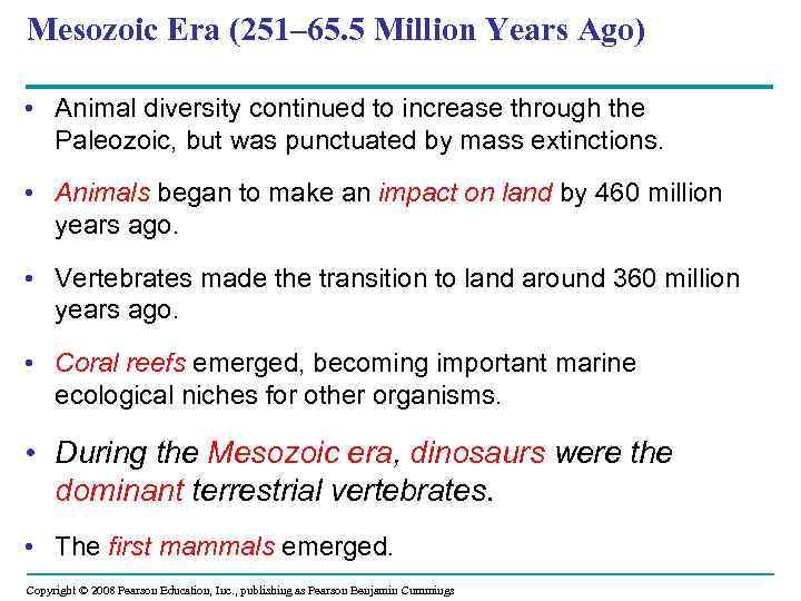 Mesozoic Era (251– 65. 5 Million Years Ago) • Animal diversity continued to increase