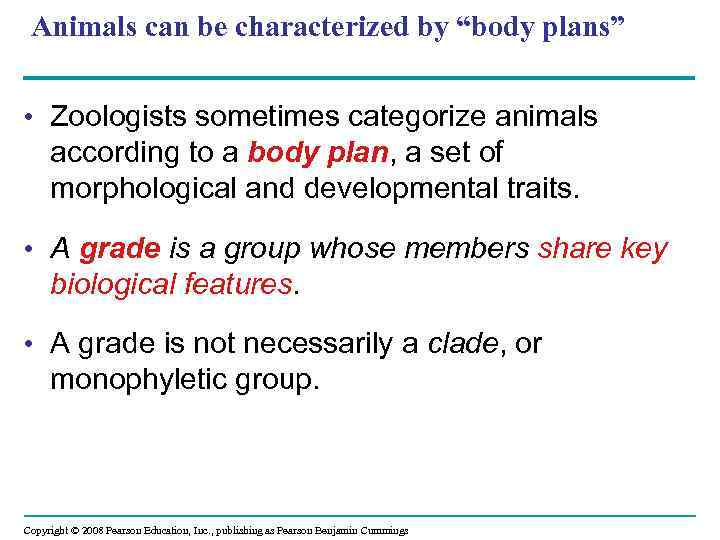 Animals can be characterized by “body plans” • Zoologists sometimes categorize animals according to