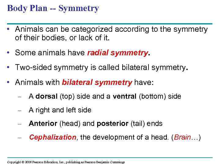 Body Plan -- Symmetry • Animals can be categorized according to the symmetry of