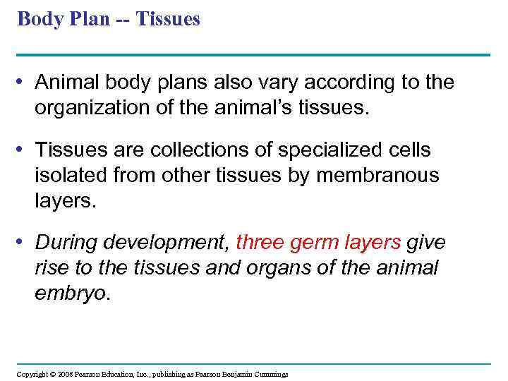 Body Plan -- Tissues • Animal body plans also vary according to the organization