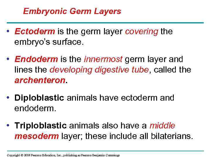 Embryonic Germ Layers • Ectoderm is the germ layer covering the embryo’s surface. •