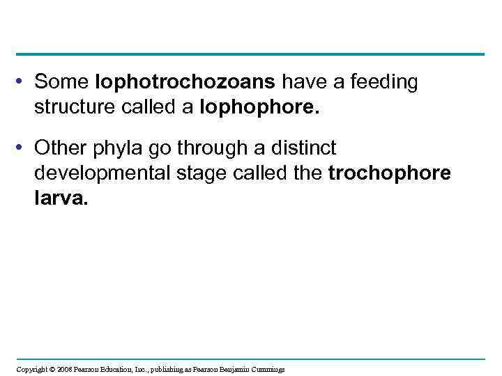  • Some lophotrochozoans have a feeding structure called a lophophore. • Other phyla