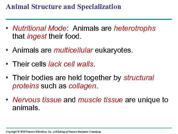 Animal Structure and Specialization • Nutritional Mode: Animals are heterotrophs that ingest their food.