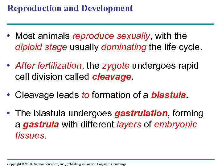 Reproduction and Development • Most animals reproduce sexually, with the diploid stage usually dominating