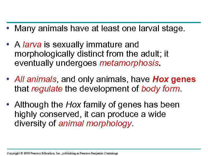  • Many animals have at least one larval stage. • A larva is