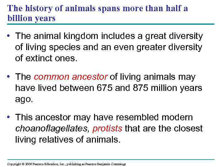 The history of animals spans more than half a billion years • The animal