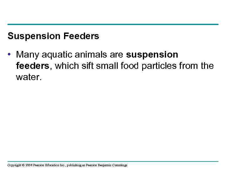 Suspension Feeders • Many aquatic animals are suspension feeders, which sift small food particles