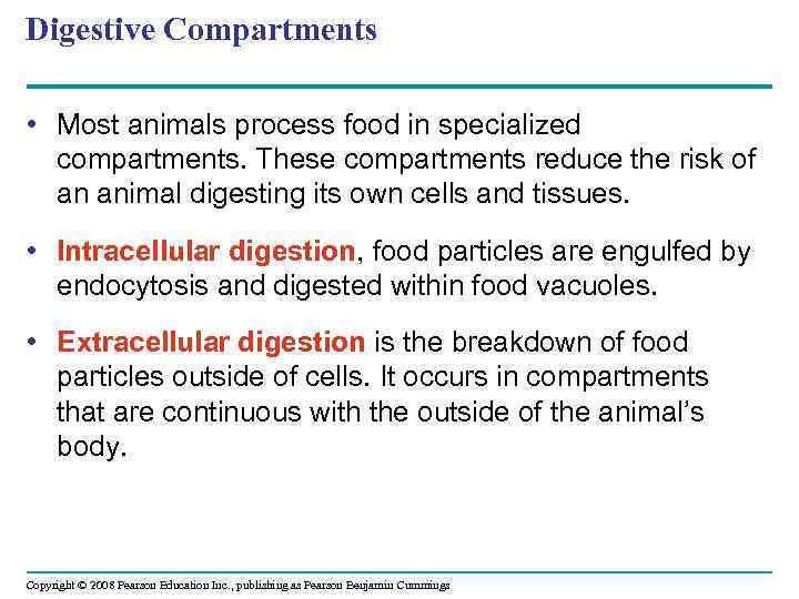 Digestive Compartments • Most animals process food in specialized compartments. These compartments reduce the