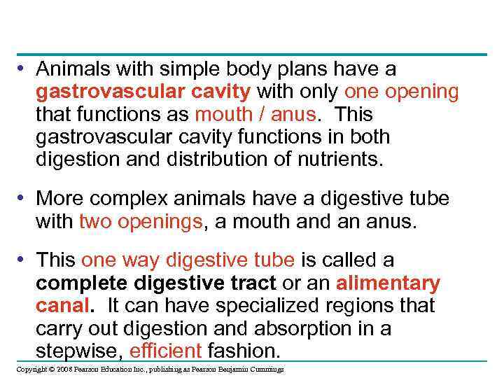  • Animals with simple body plans have a gastrovascular cavity with only one