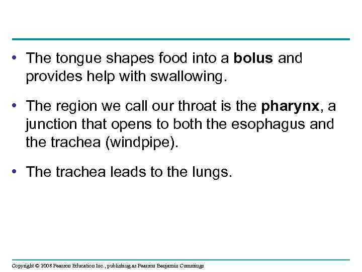  • The tongue shapes food into a bolus and provides help with swallowing.