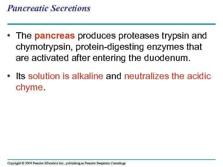 Pancreatic Secretions • The pancreas produces proteases trypsin and chymotrypsin, protein-digesting enzymes that are