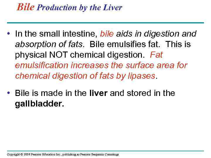 Bile Production by the Liver • In the small intestine, bile aids in digestion