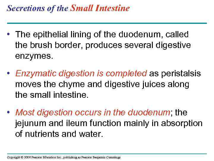 Secretions of the Small Intestine • The epithelial lining of the duodenum, called the