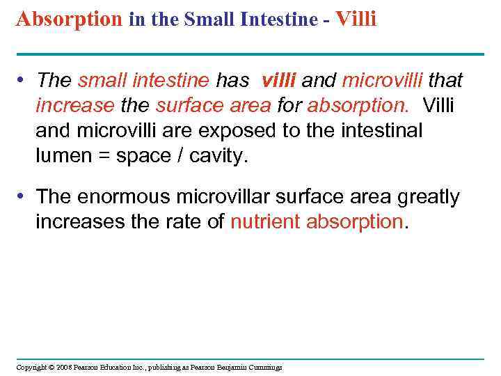 Absorption in the Small Intestine - Villi • The small intestine has villi and