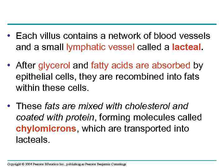  • Each villus contains a network of blood vessels and a small lymphatic