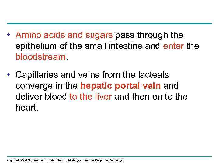  • Amino acids and sugars pass through the epithelium of the small intestine