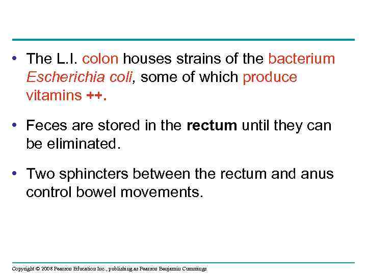  • The L. I. colon houses strains of the bacterium Escherichia coli, some