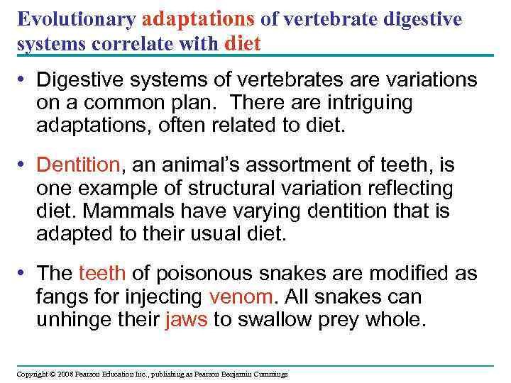 Evolutionary adaptations of vertebrate digestive systems correlate with diet • Digestive systems of vertebrates