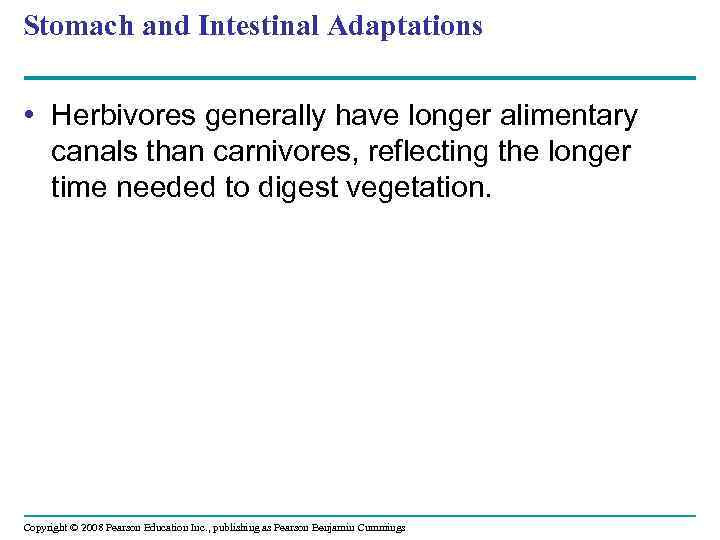 Stomach and Intestinal Adaptations • Herbivores generally have longer alimentary canals than carnivores, reflecting