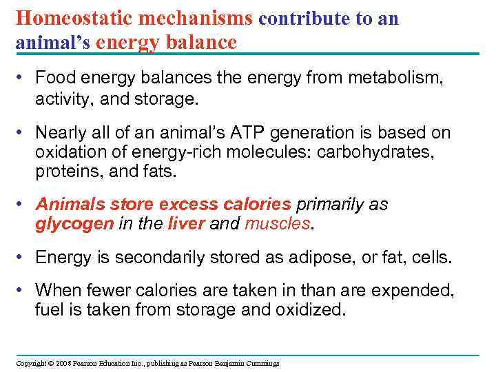 Homeostatic mechanisms contribute to an animal’s energy balance • Food energy balances the energy