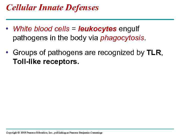 Cellular Innate Defenses • White blood cells = leukocytes engulf pathogens in the body