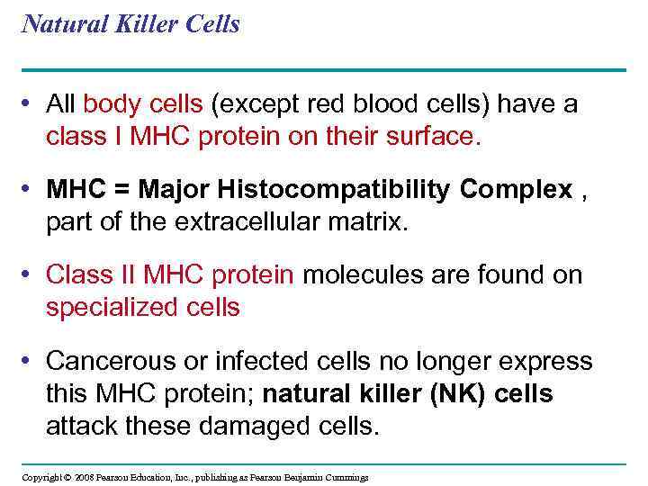 Natural Killer Cells • All body cells (except red blood cells) have a class