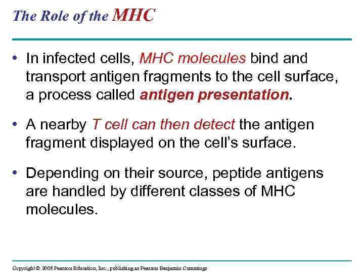 The Role of the MHC • In infected cells, MHC molecules bind and transport