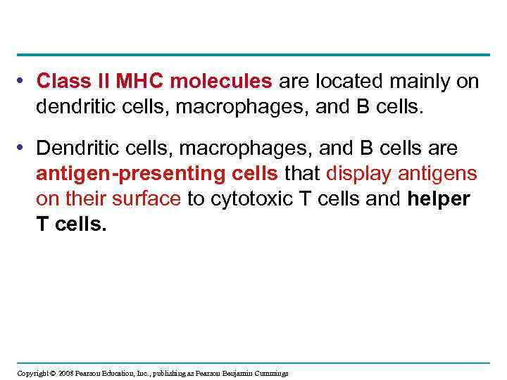  • Class II MHC molecules are located mainly on dendritic cells, macrophages, and