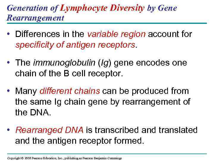 Generation of Lymphocyte Diversity by Gene Rearrangement • Differences in the variable region account