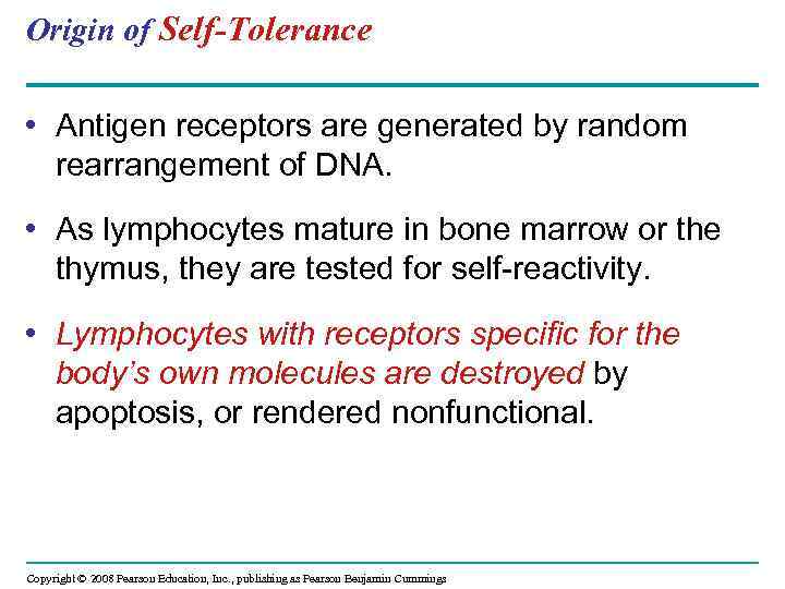 Origin of Self-Tolerance • Antigen receptors are generated by random rearrangement of DNA. •