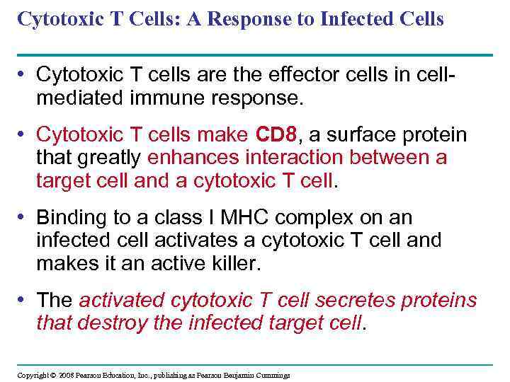 Cytotoxic T Cells: A Response to Infected Cells • Cytotoxic T cells are the