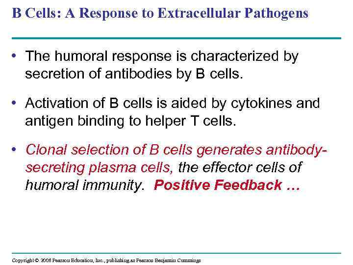 B Cells: A Response to Extracellular Pathogens • The humoral response is characterized by