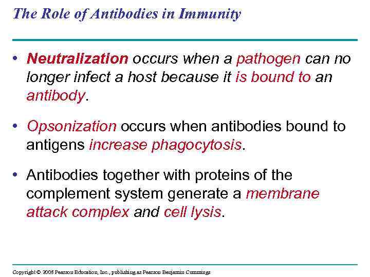 The Role of Antibodies in Immunity • Neutralization occurs when a pathogen can no