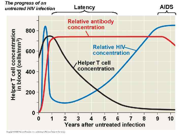 Helper T cell concentration in blood (cells/mm 3) The progress of an untreated HIV