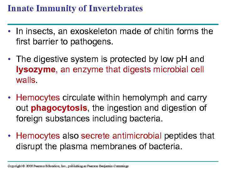 Innate Immunity of Invertebrates • In insects, an exoskeleton made of chitin forms the