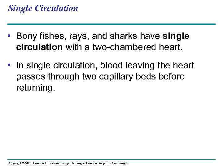 Single Circulation • Bony fishes, rays, and sharks have single circulation with a two-chambered