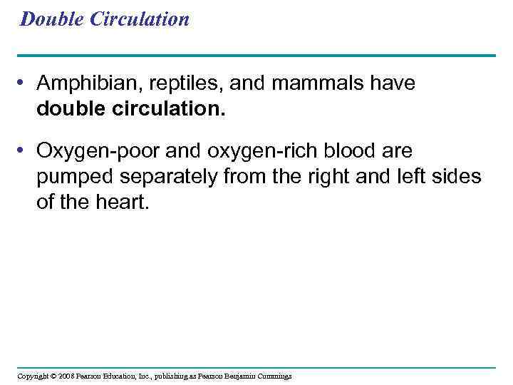 Double Circulation • Amphibian, reptiles, and mammals have double circulation. • Oxygen-poor and oxygen-rich