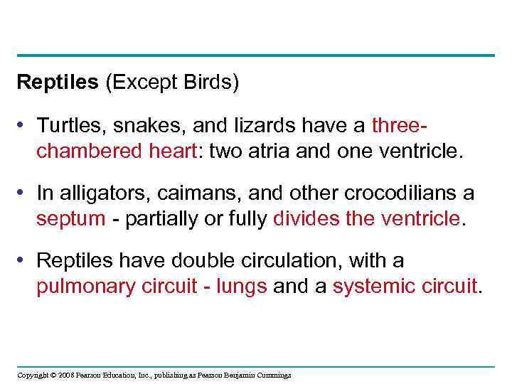 Reptiles (Except Birds) • Turtles, snakes, and lizards have a threechambered heart: two atria