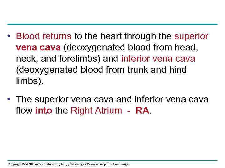  • Blood returns to the heart through the superior vena cava (deoxygenated blood