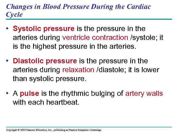 Changes in Blood Pressure During the Cardiac Cycle • Systolic pressure is the pressure