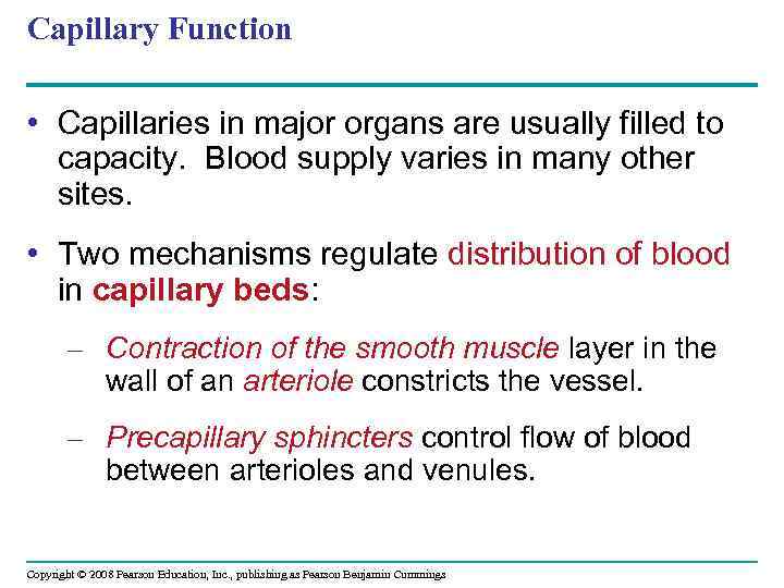 Capillary Function • Capillaries in major organs are usually filled to capacity. Blood supply