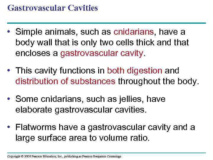 Gastrovascular Cavities • Simple animals, such as cnidarians, have a body wall that is
