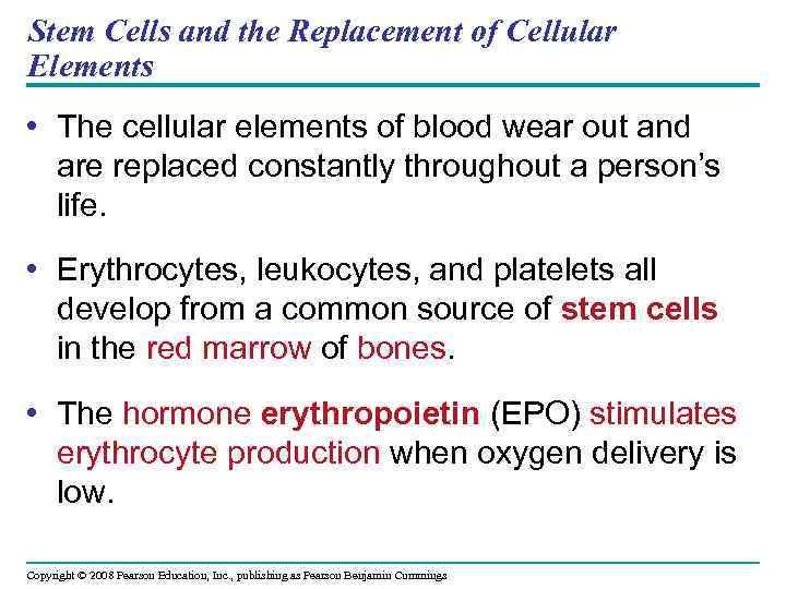 Stem Cells and the Replacement of Cellular Elements • The cellular elements of blood