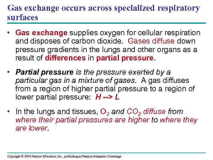 Gas exchange occurs across specialized respiratory surfaces • Gas exchange supplies oxygen for cellular