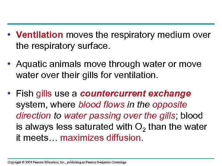  • Ventilation moves the respiratory medium over the respiratory surface. • Aquatic animals