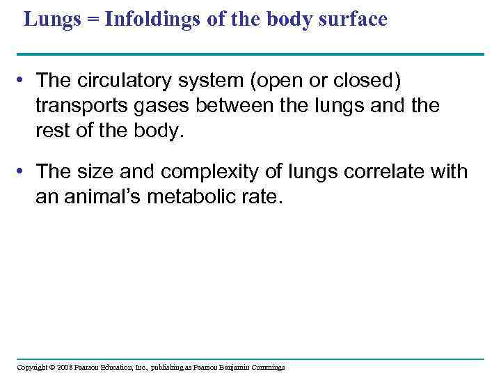 Lungs = Infoldings of the body surface • The circulatory system (open or closed)