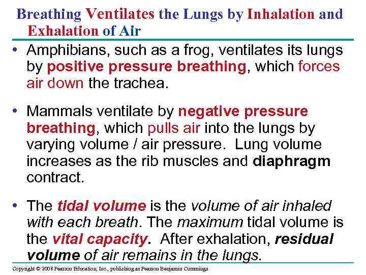 Breathing Ventilates the Lungs by Inhalation and Exhalation of Air • Amphibians, such as