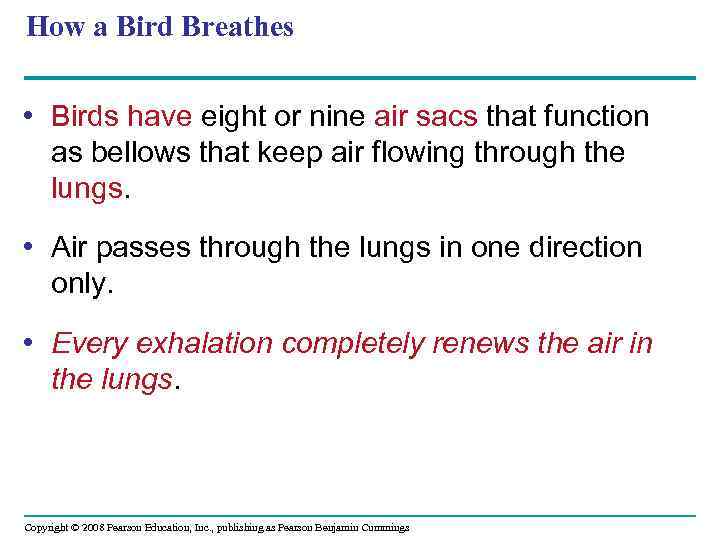 How a Bird Breathes • Birds have eight or nine air sacs that function